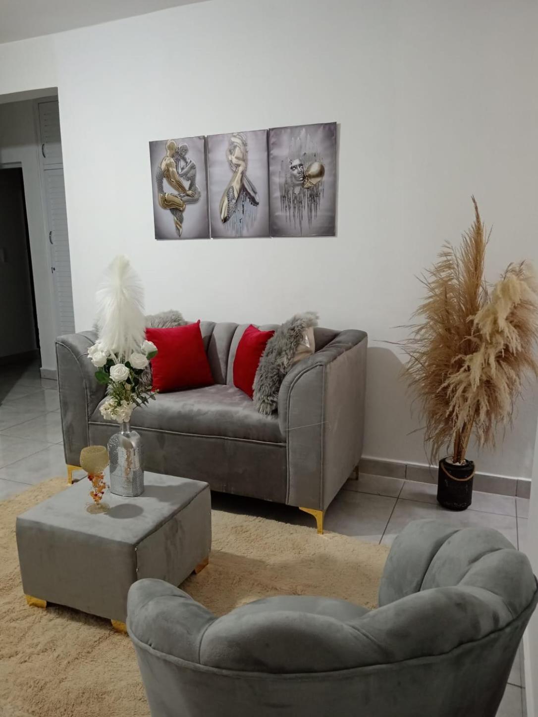 Apartamentos De 1 2 Y 3 Habitaciones Santiago De Los Caballeros Bagian luar foto