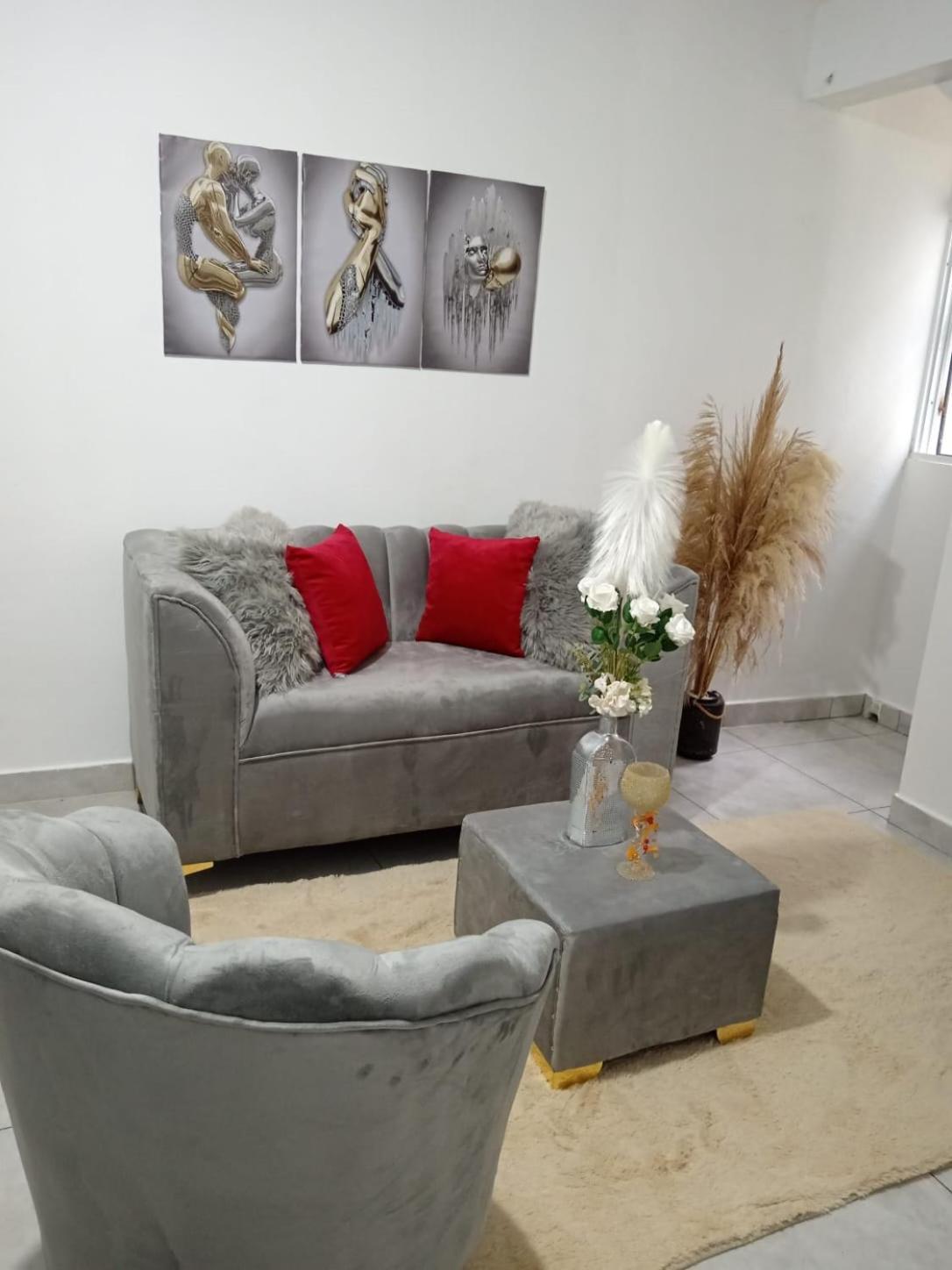 Apartamentos De 1 2 Y 3 Habitaciones Santiago De Los Caballeros Bagian luar foto